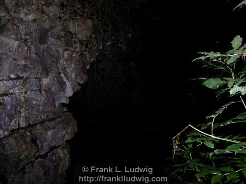 Fairy Bridge at Lough Key